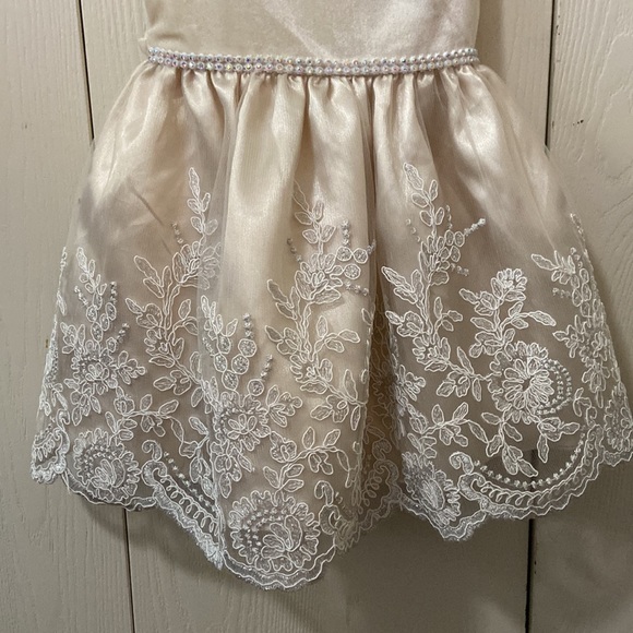 Sweet Heart Rose Cream Formal Occasion Dress - Picture 3 of 7